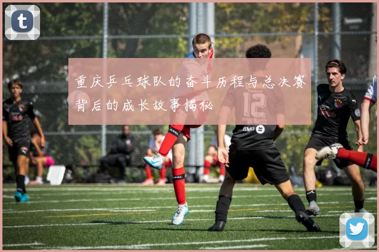 重庆乒乓球队的奋斗历程与总决赛背后的成长故事揭秘
