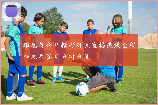 雄鹿与公牛精彩对决直播视频全程回放及赛后分析分享