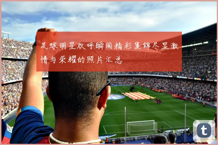 足球明星欢呼瞬间精彩集锦尽显激情与荣耀的照片汇总