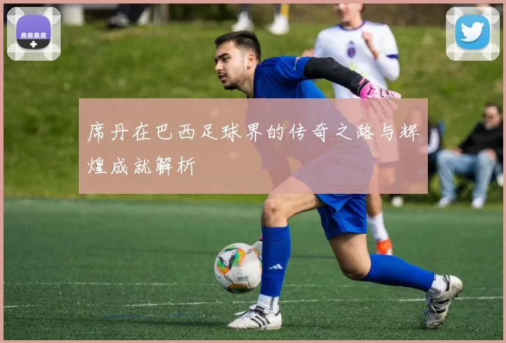 席丹在巴西足球界的传奇之路与辉煌成就解析