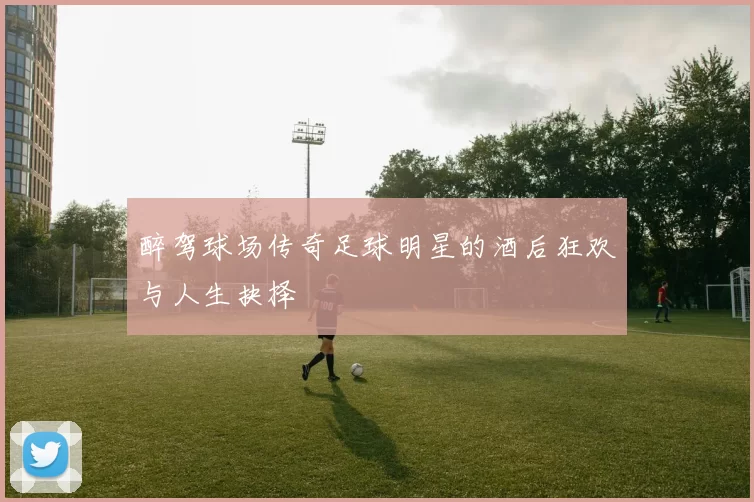 醉驾球场传奇足球明星的酒后狂欢与人生抉择